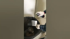 La peinture de jet acrylique pour l'usage d'intérieur et extérieur varie la température d'action