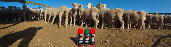 peinture de jet de repérage animale de repérage de queue écologique de couleur de peinture de moutons de 500ml Plyfit