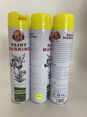 650ml ligne adaptée aux besoins du client clip D rapide non toxique 12pcs de peinture d'inscription par carton