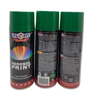 peinture de jet Rouille-résistante amicale de séchage rapide de l'aérosol 400ml E-Co